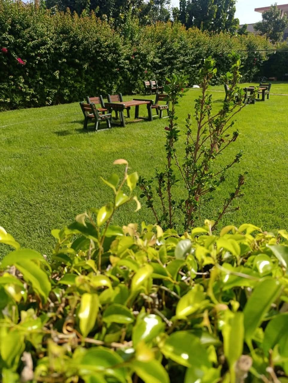 Tables et bancs en bois installés sur la pelouse, entourés de tonnelles