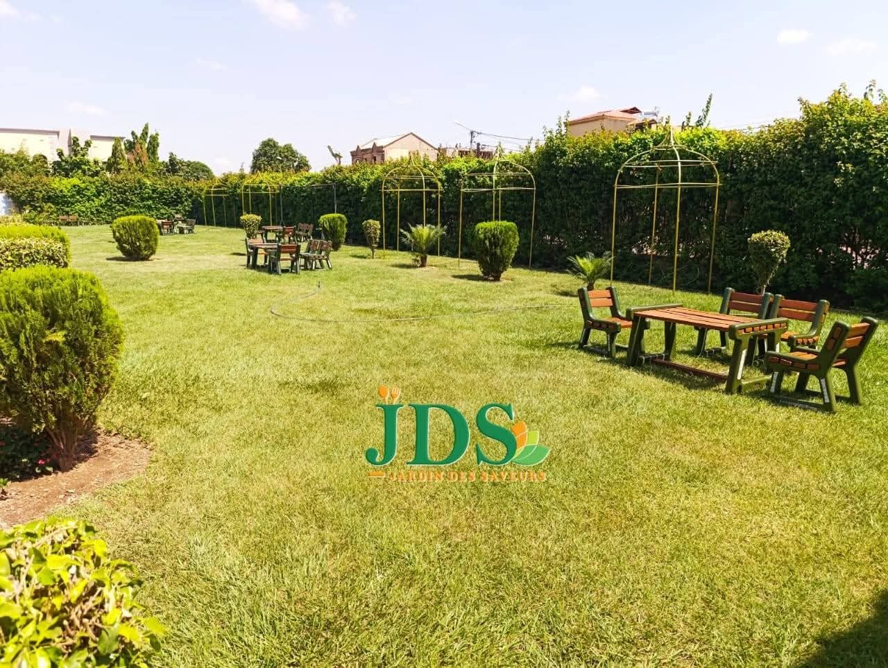 Vue large du jardin avec allée pavée